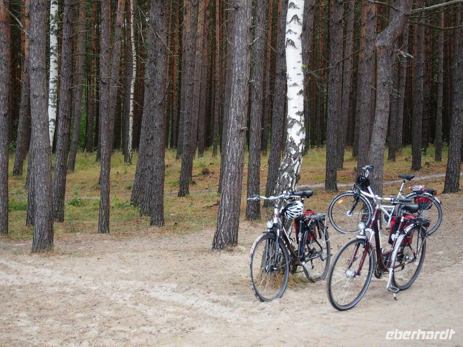 5. Tag - mit dem Rad nach Palanga