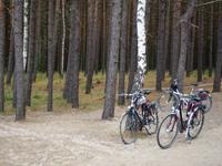 5. Tag - mit dem Rad nach Palanga