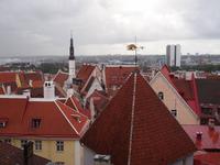 Stadtrundgang Tallinn