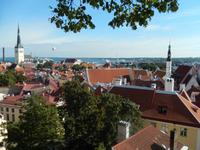 Blick auf Tallinn