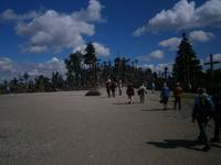 Siauliai, Berg der Kreuze