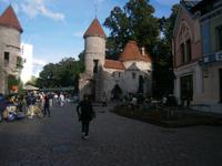 Reste der alten Stadtmauer von Tallinn