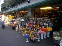 Blumen in großer Auswahl