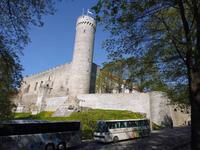 Estland_Tallin_Langer_Hermann