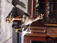 Litauen_Vilnius_Huhn