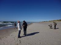 Ostpreussen_kurische_Nehrung_Litauen_hohe_Düne (3)