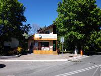 Ostpreussen_kurische_Nehrung_russisch_tanzender_Wald (2)