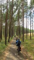 Auf dem Radweg über die Kurische Nehrung