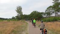 Auf dem Radweg über die Kurische Nehrung