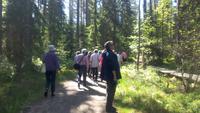 Ausflug in den Lahemaa-Nationalpark