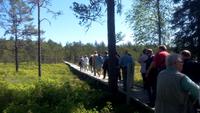 Ausflug in den Lahemaa-Nationalpark