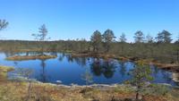 Ausflug in den Lahemaa-Nationalpark