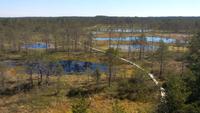 Ausflug in den Lahemaa-Nationalpark