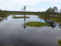 Baltikum, Estland, Laheema-NP