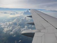Baltikum, Heimflug