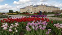 Barockschloss Rundale