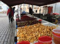 Beeren und Pilze