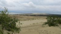Blick über die Düne