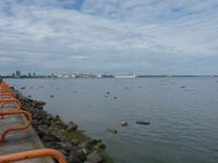 Blick auf Tallinn