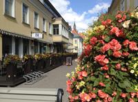 Blumen in Pärnu