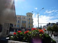 Blumen in Tallinn
