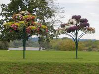 Blumenpracht Kaunas