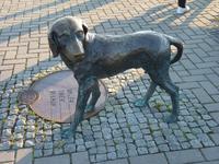 Bronzehund