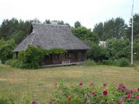 DSCN3995