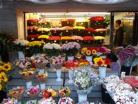 DSCN4033  Blumenmarkt