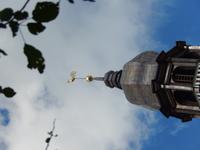 DSCN7882