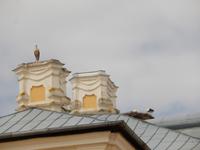 DSCN7910