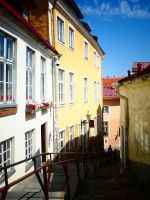 Estland - Tallinn