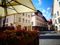 Estland - Tallinn