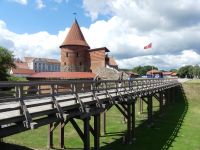 Feste Kaunas