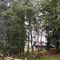 Fischerdorf Altja 