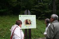 Gauja Nationalpark