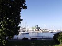 Hafen in Tallinn