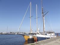 Hafen in Tallinn
