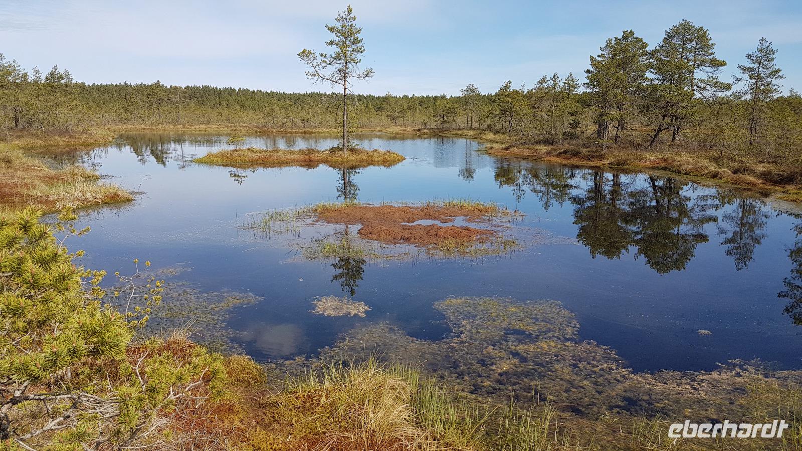 Hochmoorwanderung