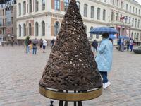 IMG 6066