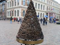 IMG 6067