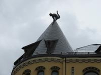 IMG 6078