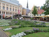IMG 6081