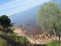 IMG 6219