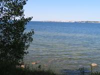 IMG 6238