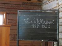 IMG 6251