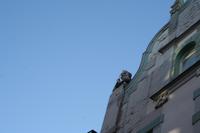 IMG_0911