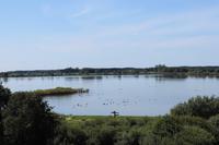 IMG_5875