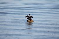 IMG_5889
