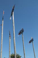 IMG_5977